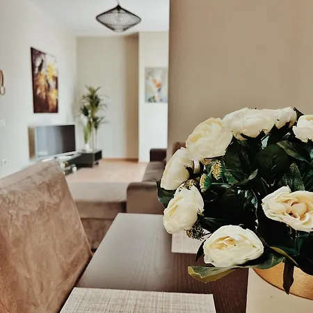 Cozy Rooftop - Your Home, Away From Home! * טיראנה